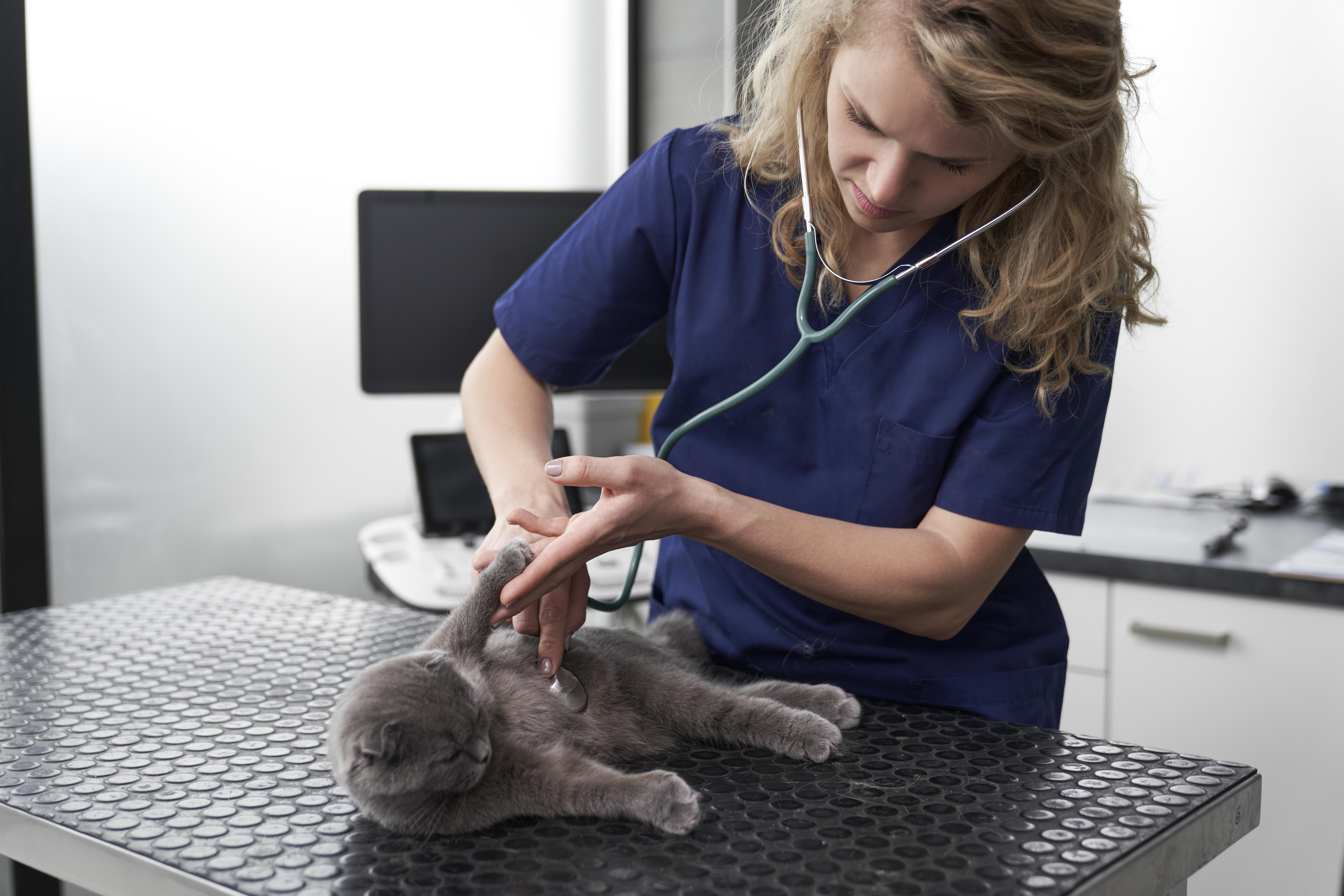 formation medical training & low stress chat 2