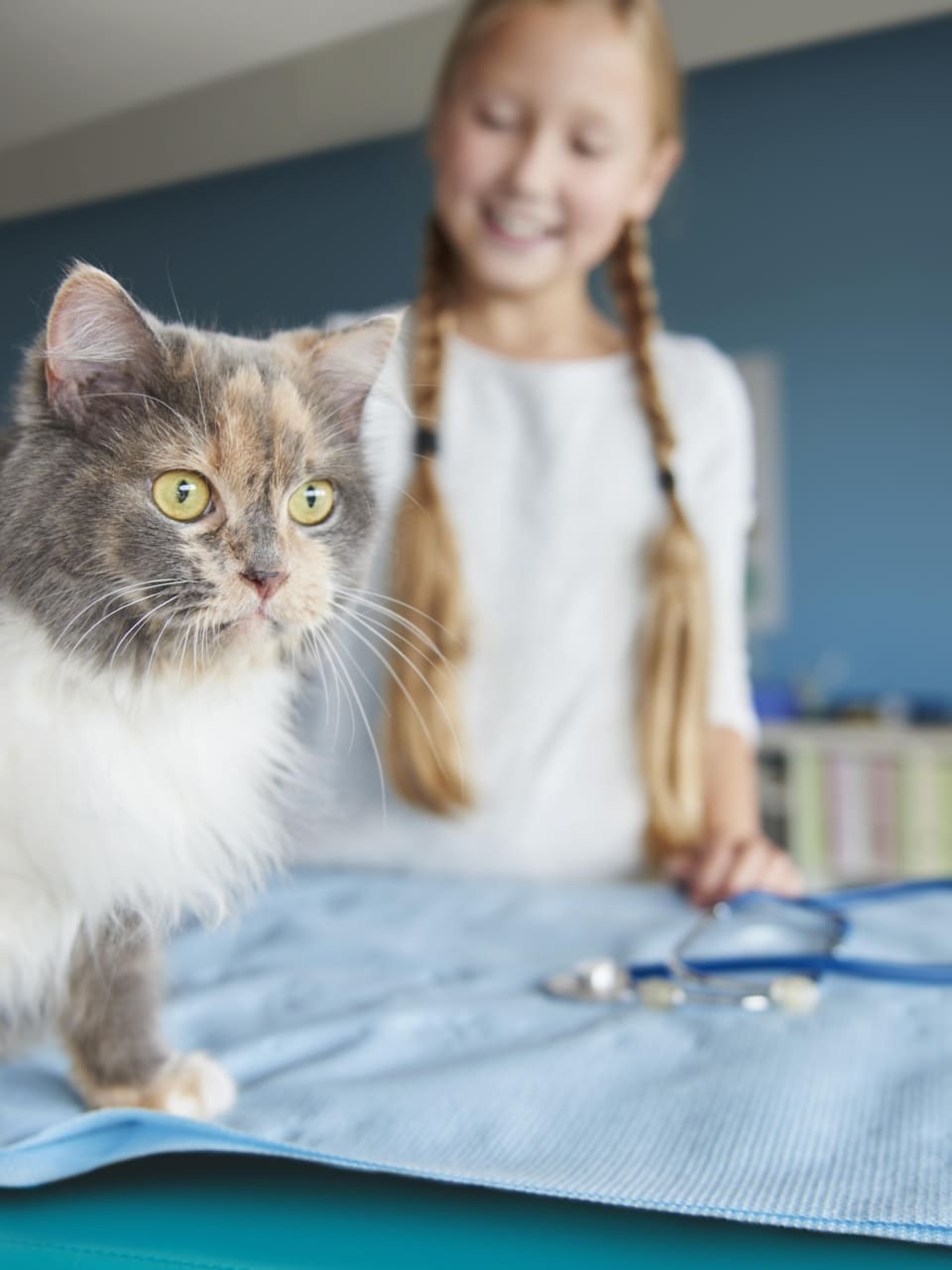 formation medical training & low stress chat 5