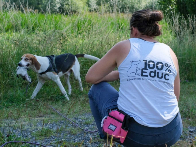 Formatrice 100% Éduc accroupie face à un beagle, dans un pré