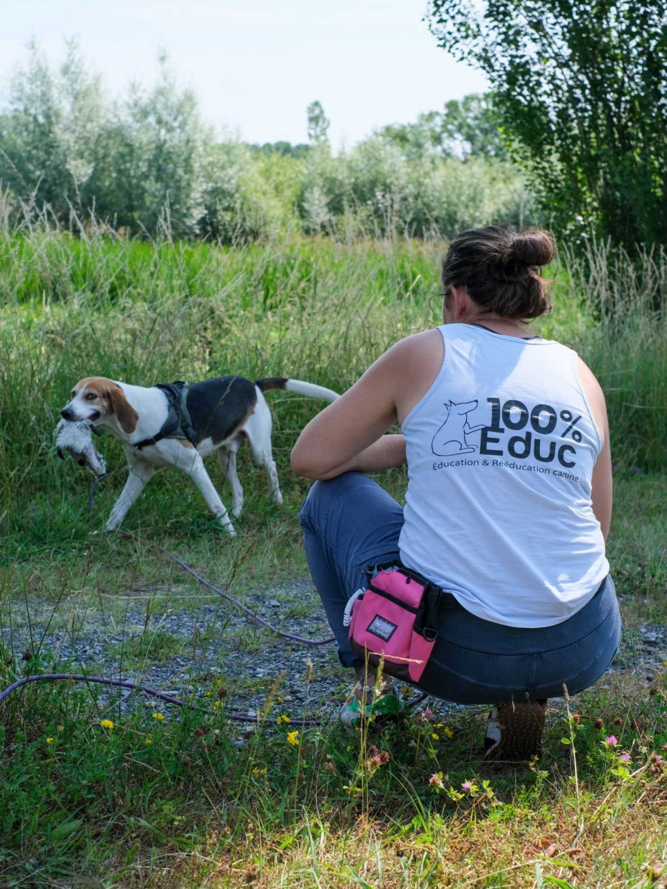 Formation éducateur / comportementaliste canin