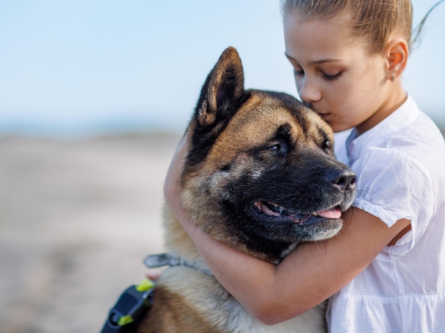 Photo d'une personne en interaction bienveillante et calme avec son animal domestique