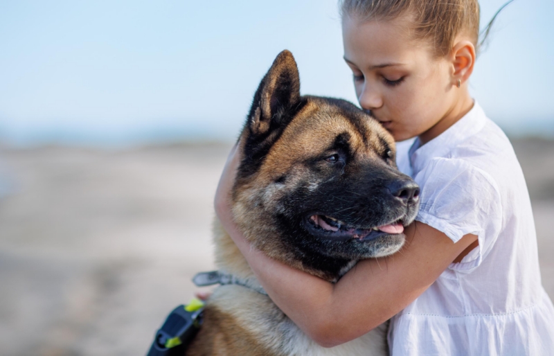 Photo d'une personne en interaction bienveillante et calme avec son animal domestique