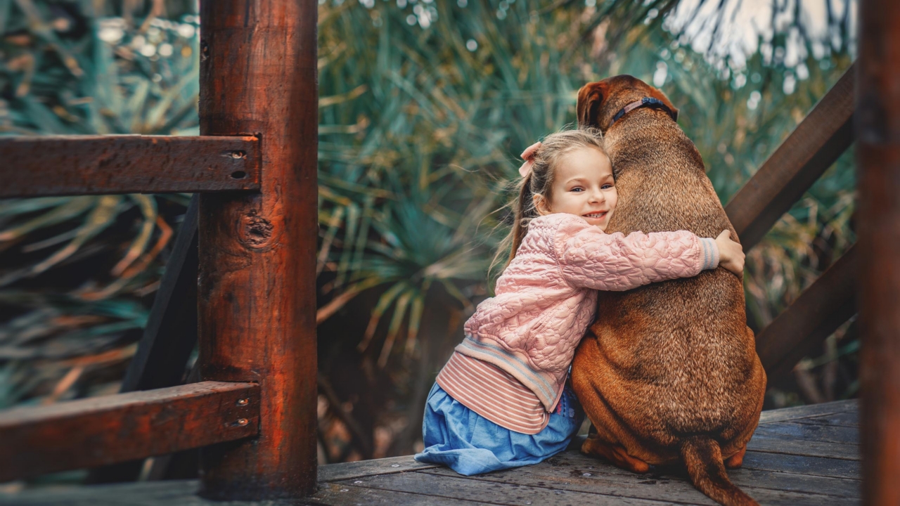 Photo d'une personne en interaction bienveillante et calme avec son animal domestique