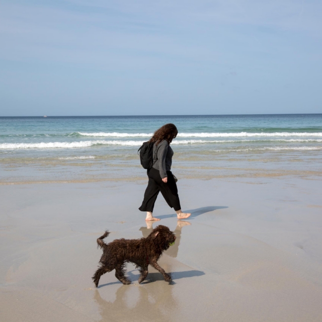 Maître et son chien en balade sur une plage, exercice de marche au pied et de suivi