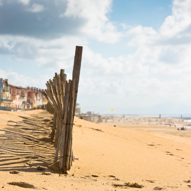 Plage landaise bordée de dunes, vaste espace pour perfectionner le rappel de son chien