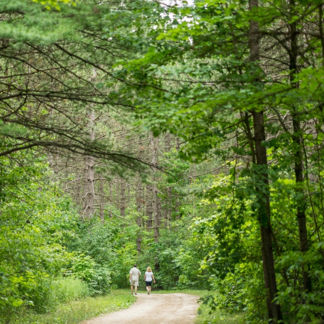 Promeneurs sur un sentier forestier ombragé, cadre calme pour travailler l'écoute du chien
