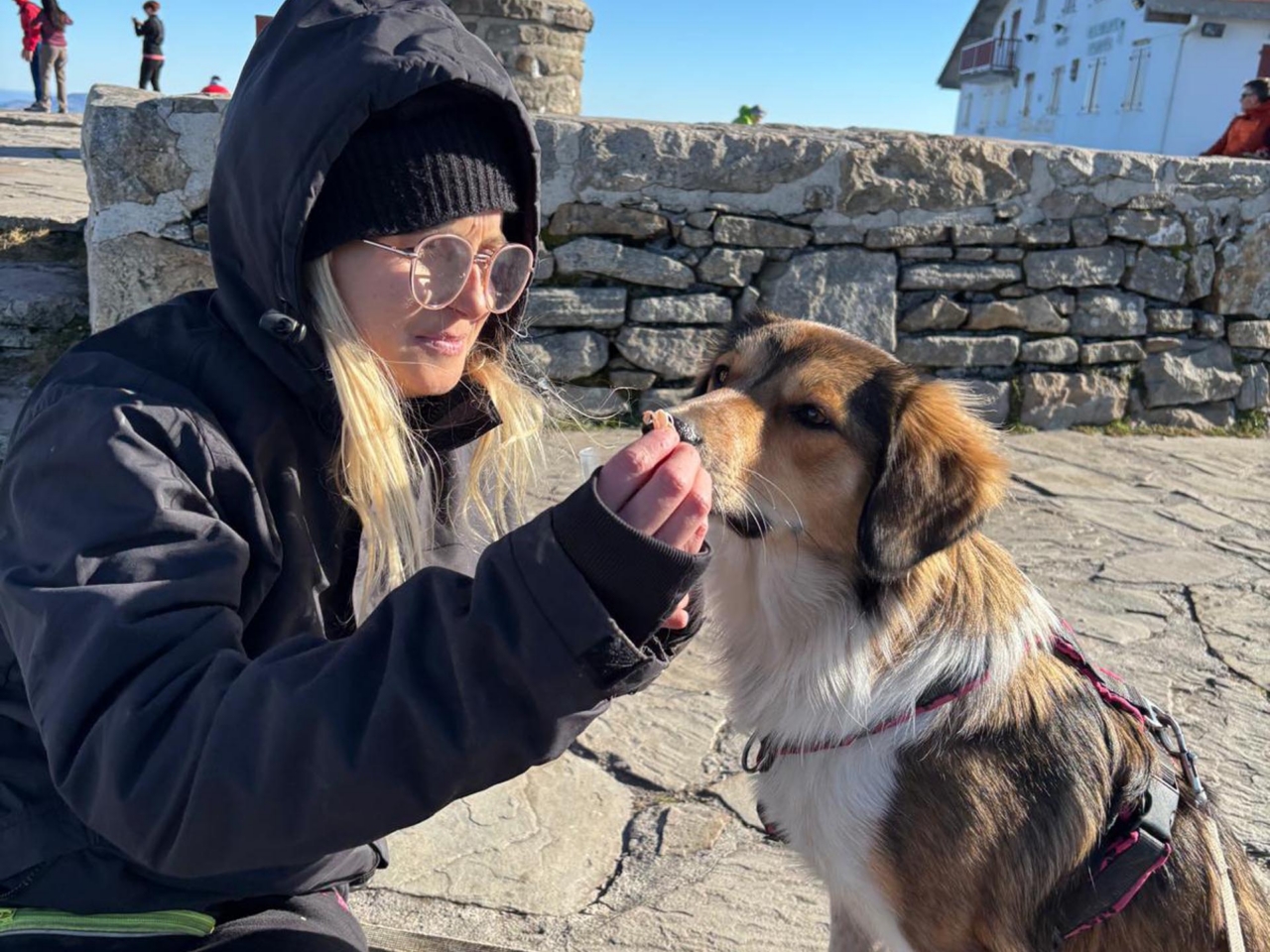 Marie en formation d'éducateur canin, au travail avec un chien