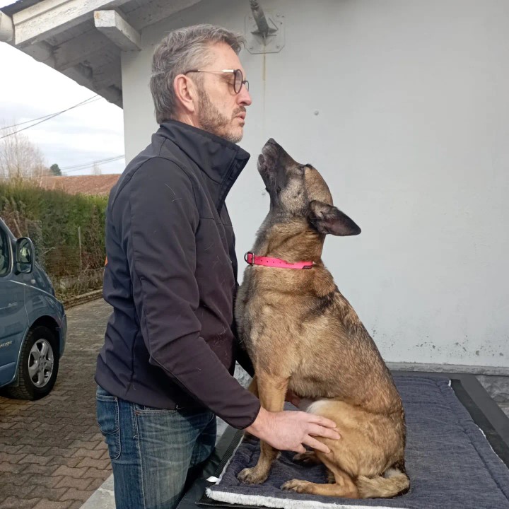 chien massage