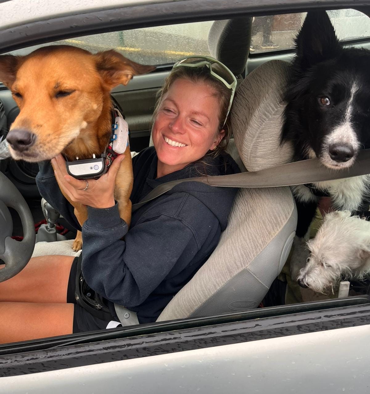 Lucille, pet-sitter Maskota, en voiture avec plusieurs chiens gardés